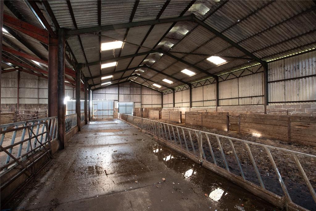 Cattle Shed