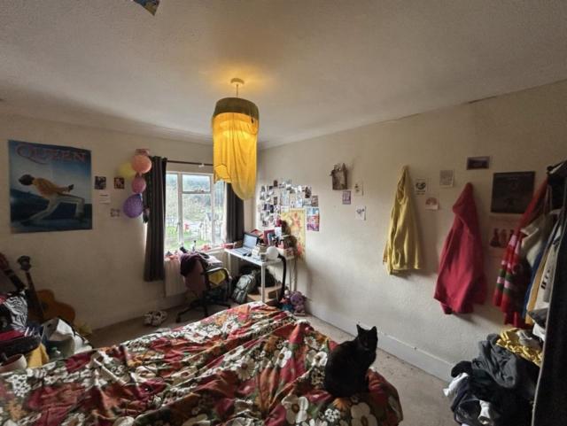Front Picture