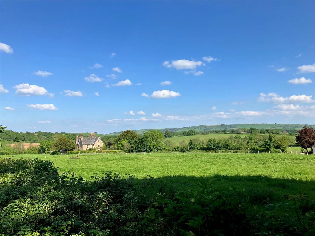 View From A Distance