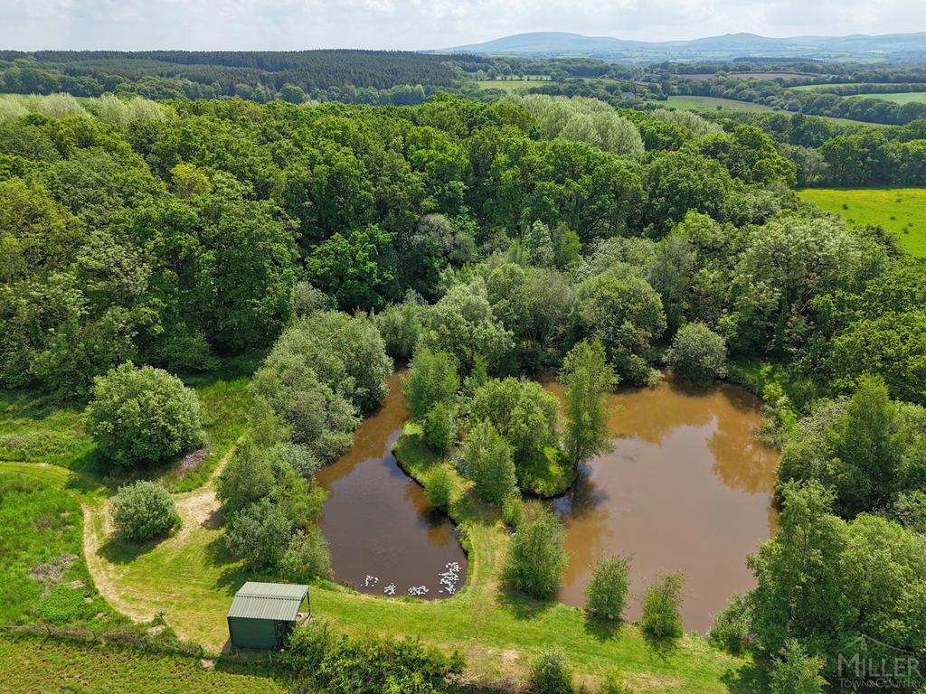 Woodland and Lakes