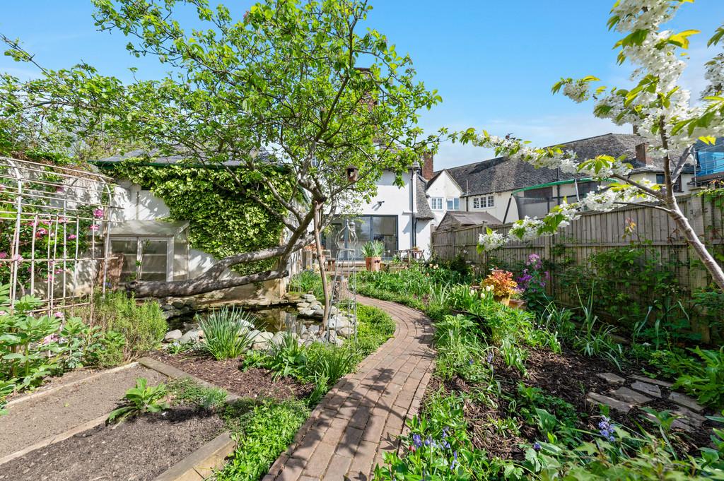 Garden (5)