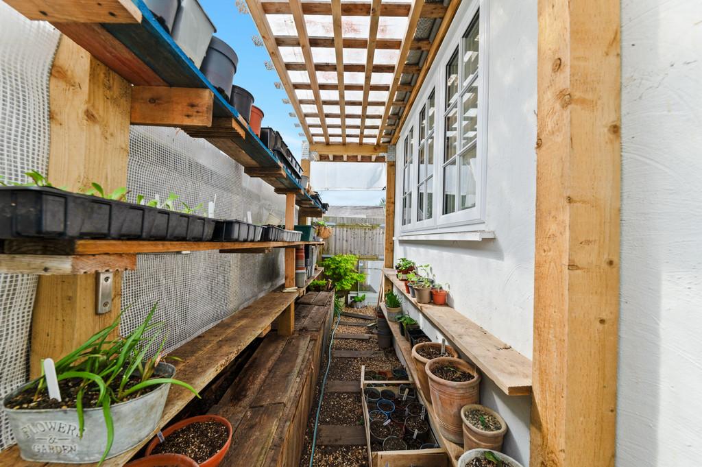 Garden (9)