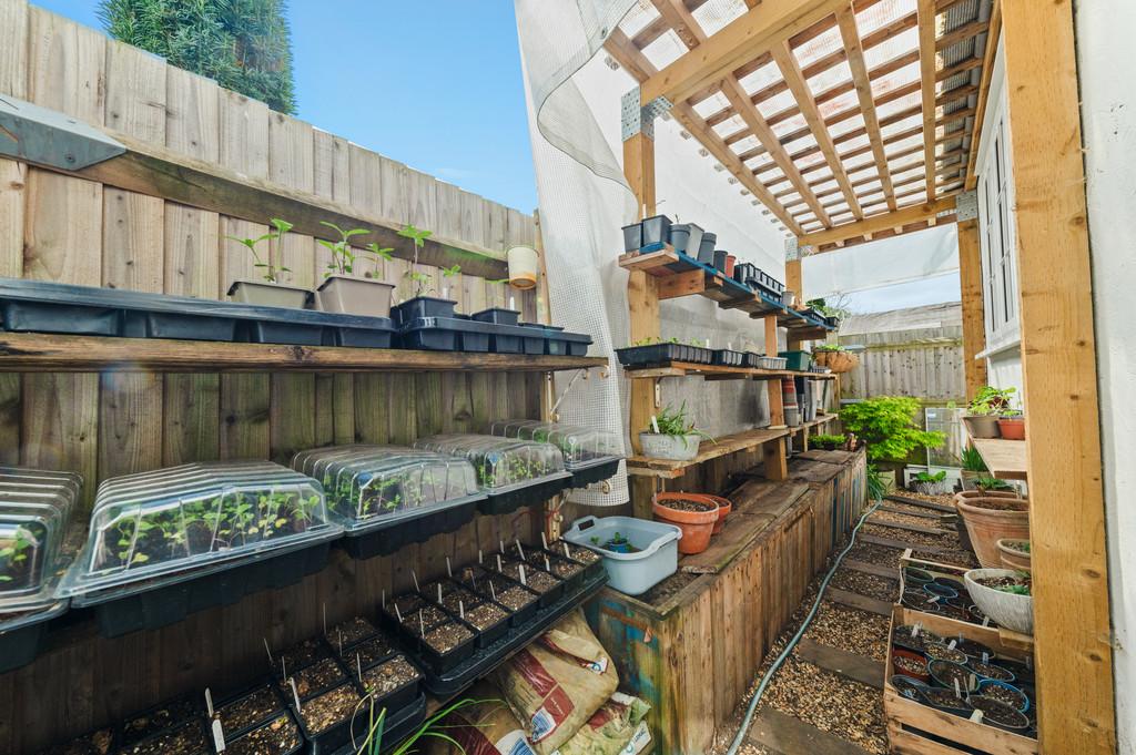 Garden (10)