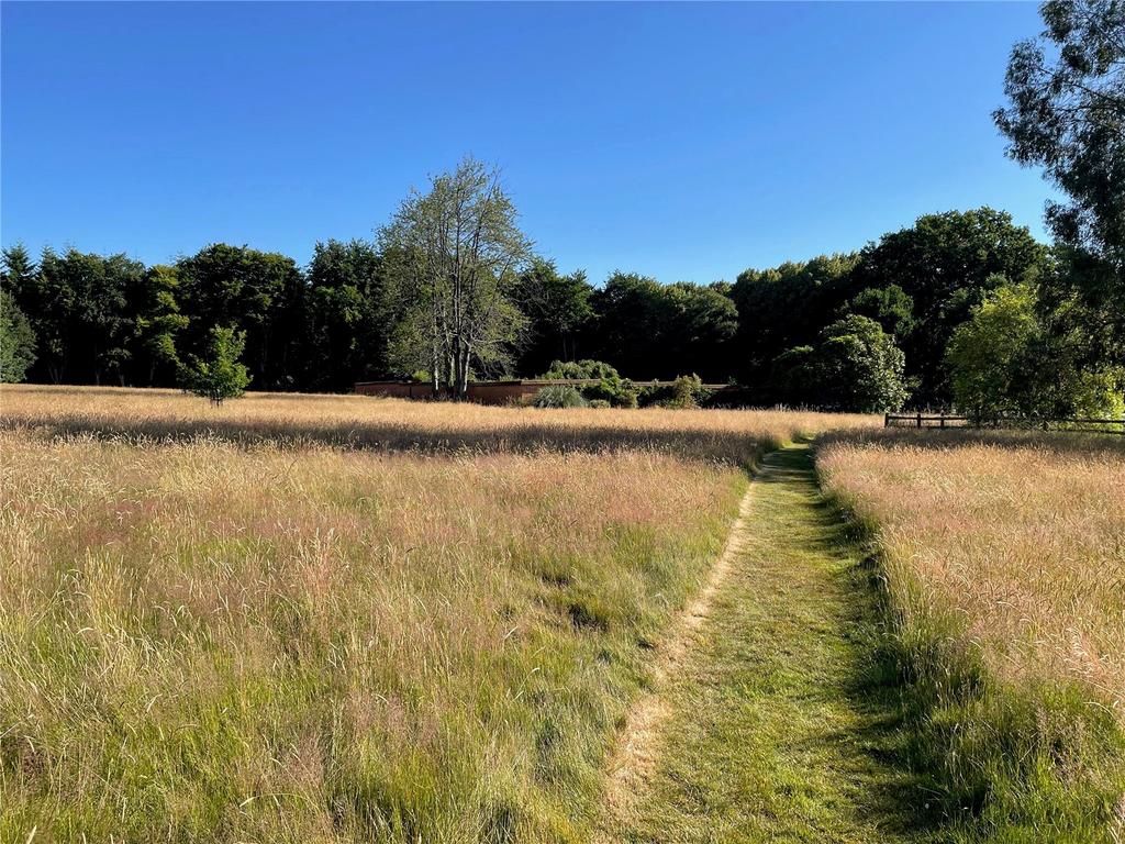 Meadowland