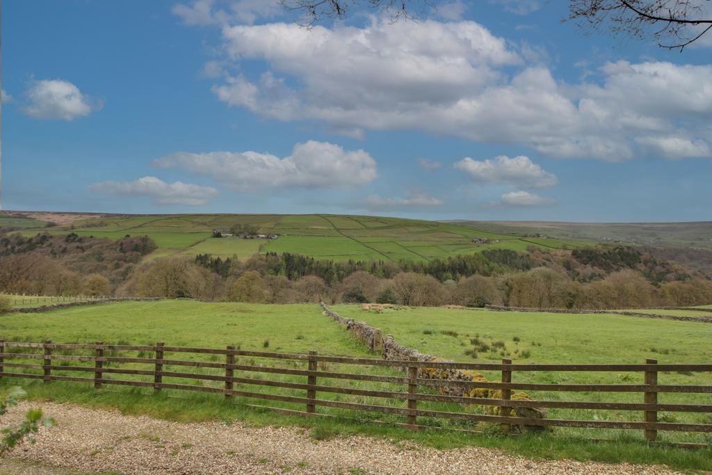 View from Garden Office