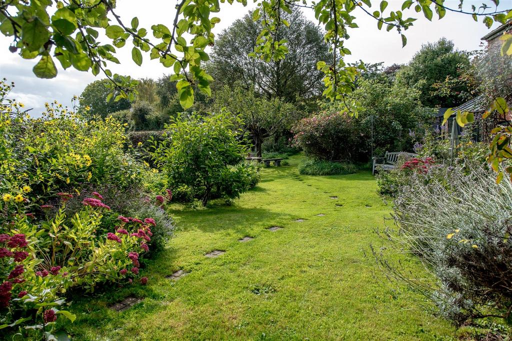 The Garden