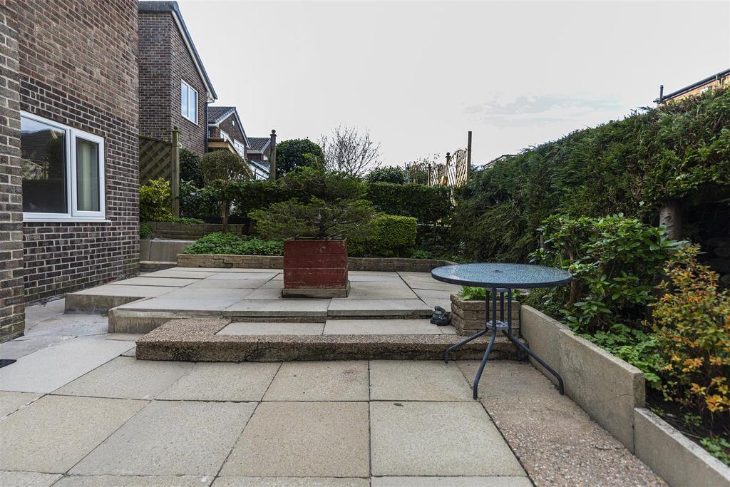 Patio Area