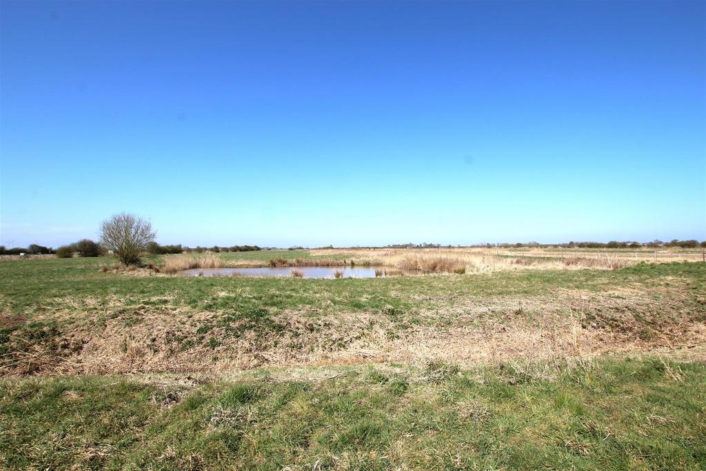 Acreage to Rear.JPG