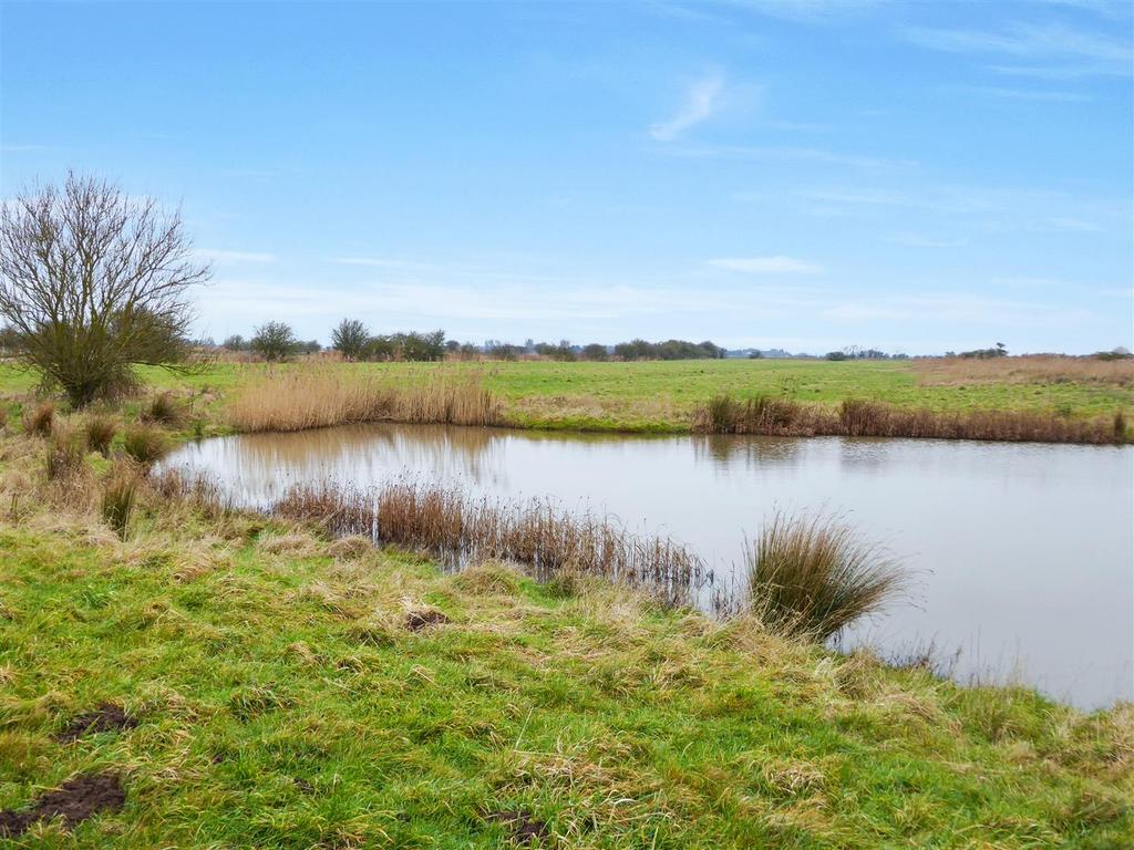 Pond & View.jpg