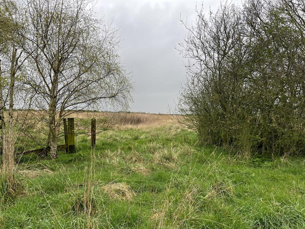 Img 7089.jpg