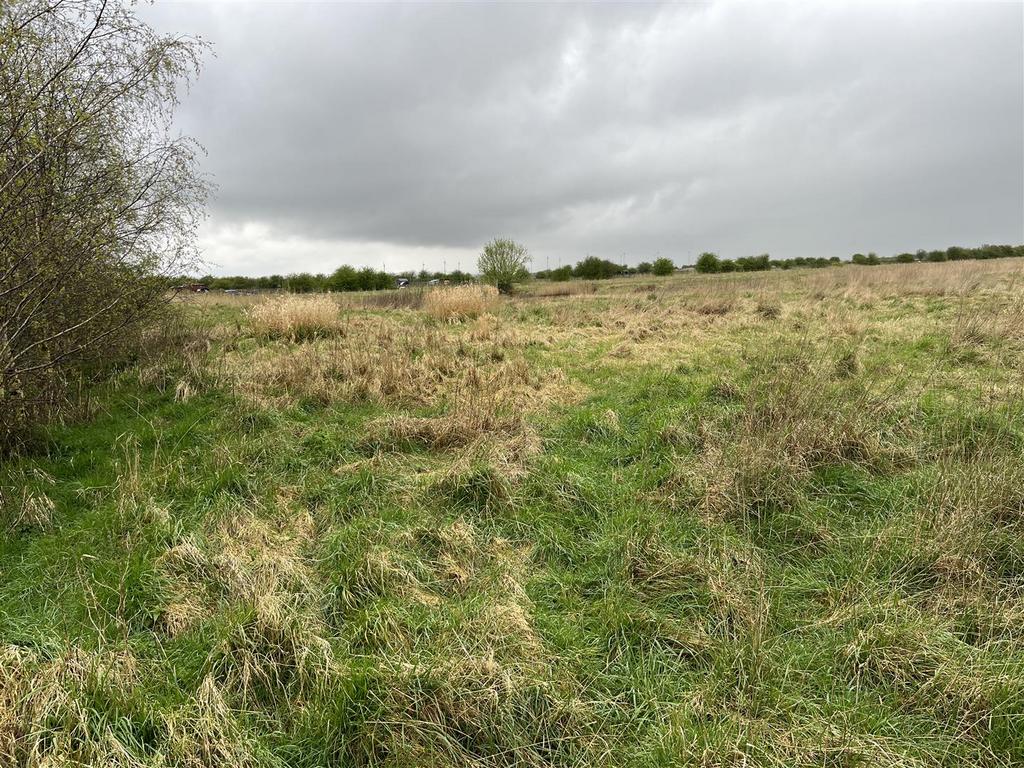 Img 7093.jpg