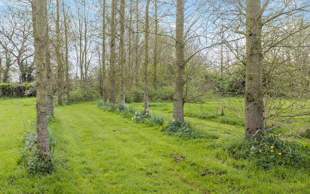 Tree Walk