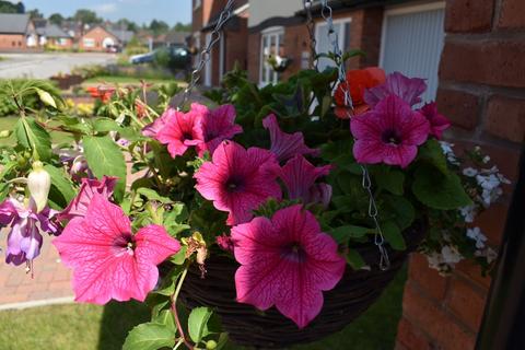 undefined, Plot 31, Hanley  at Augustus Fields, Birchwood Grove Cheadle ST10