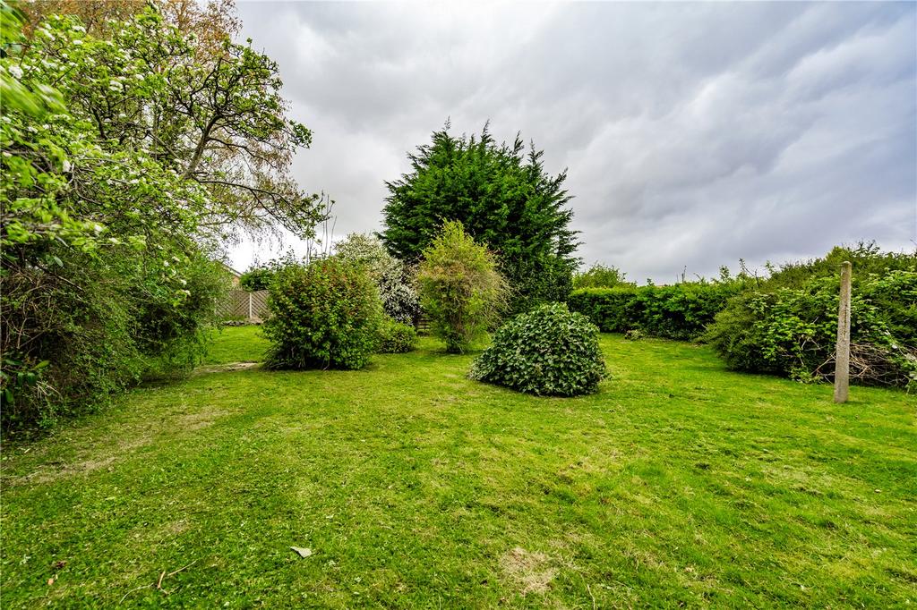 Rear Gardens