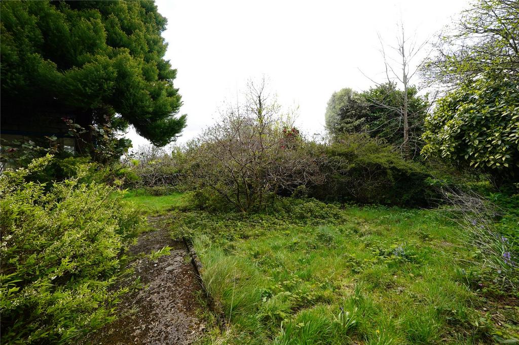 Picture No. 15