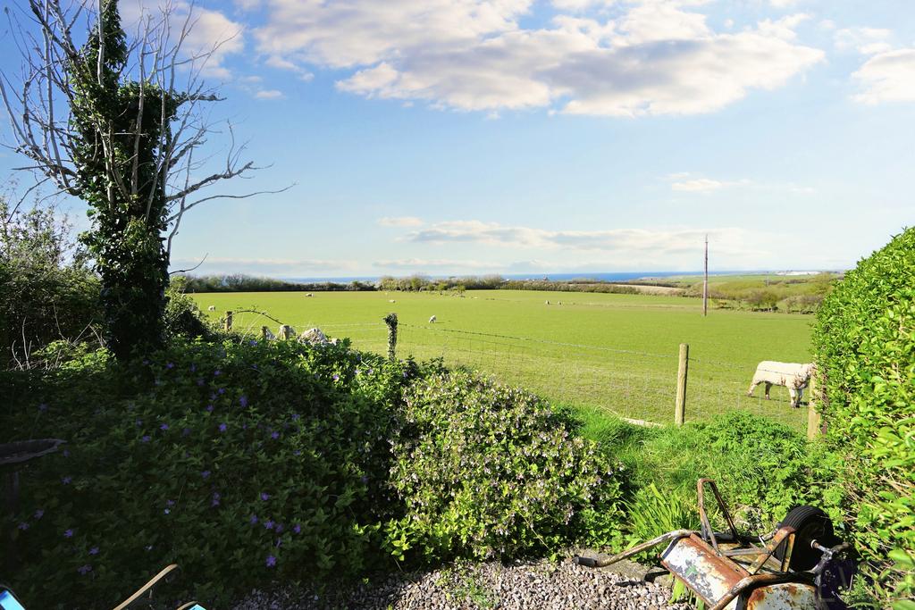View Below Garden