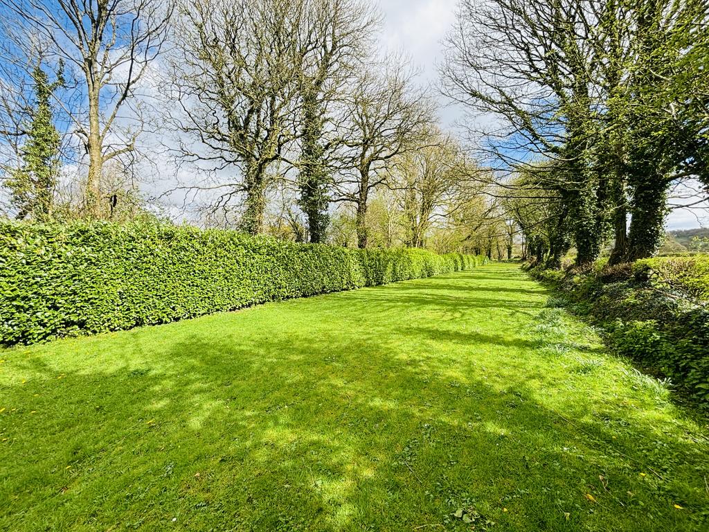 Garden (fourth image)