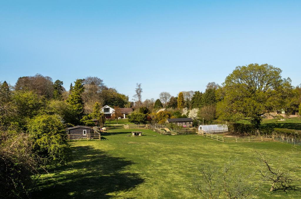 1277906 (17).jpg