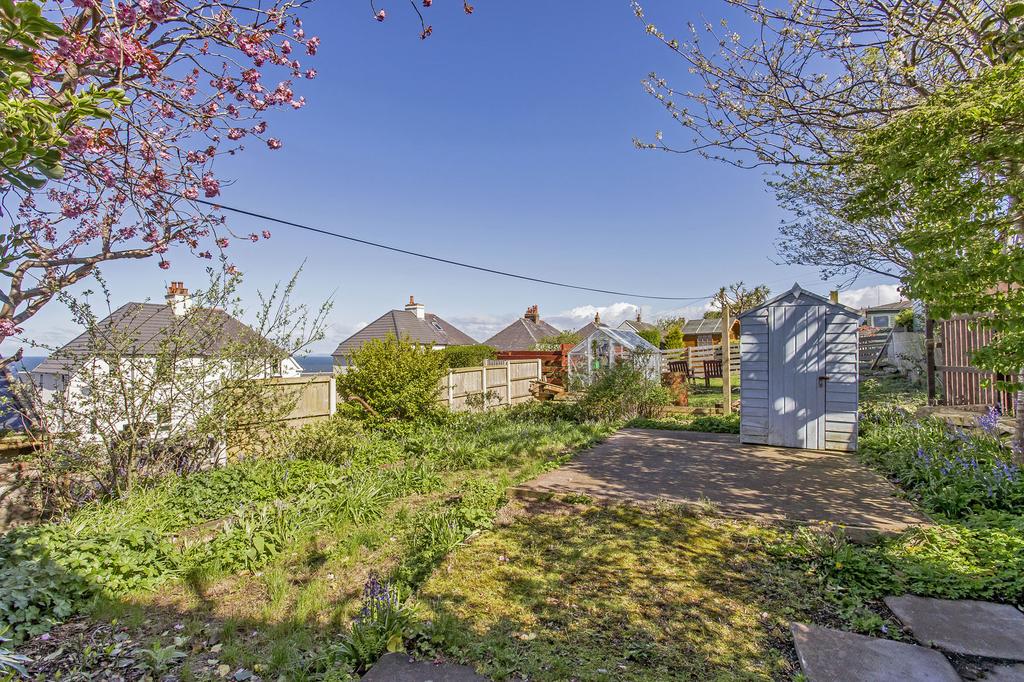 Back garden