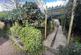 IMG 8806 (Large).jpg