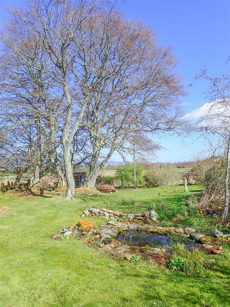 GARDEN-2.jpg