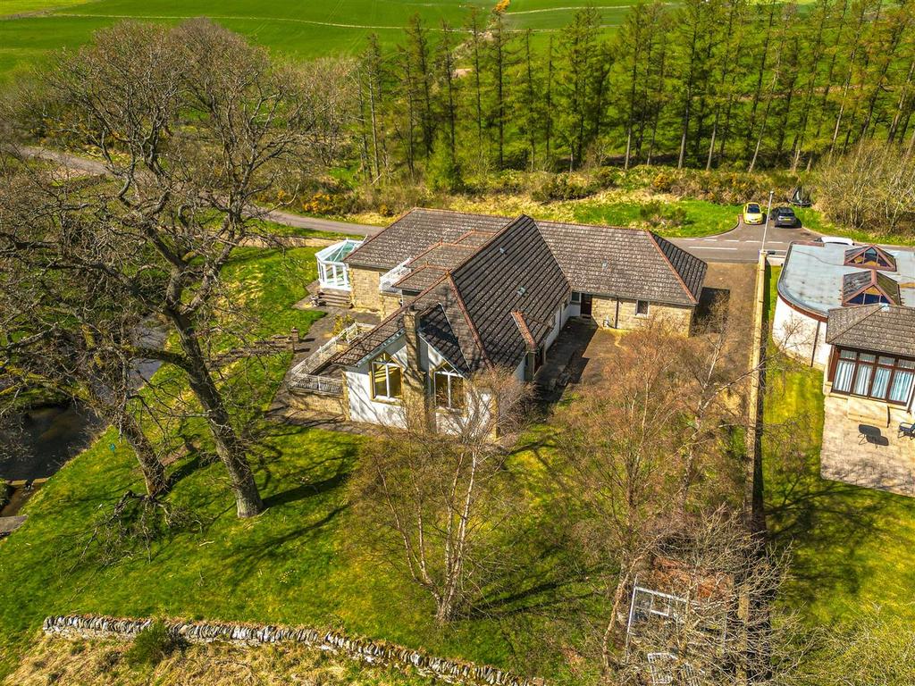 DJI 0133.jpg