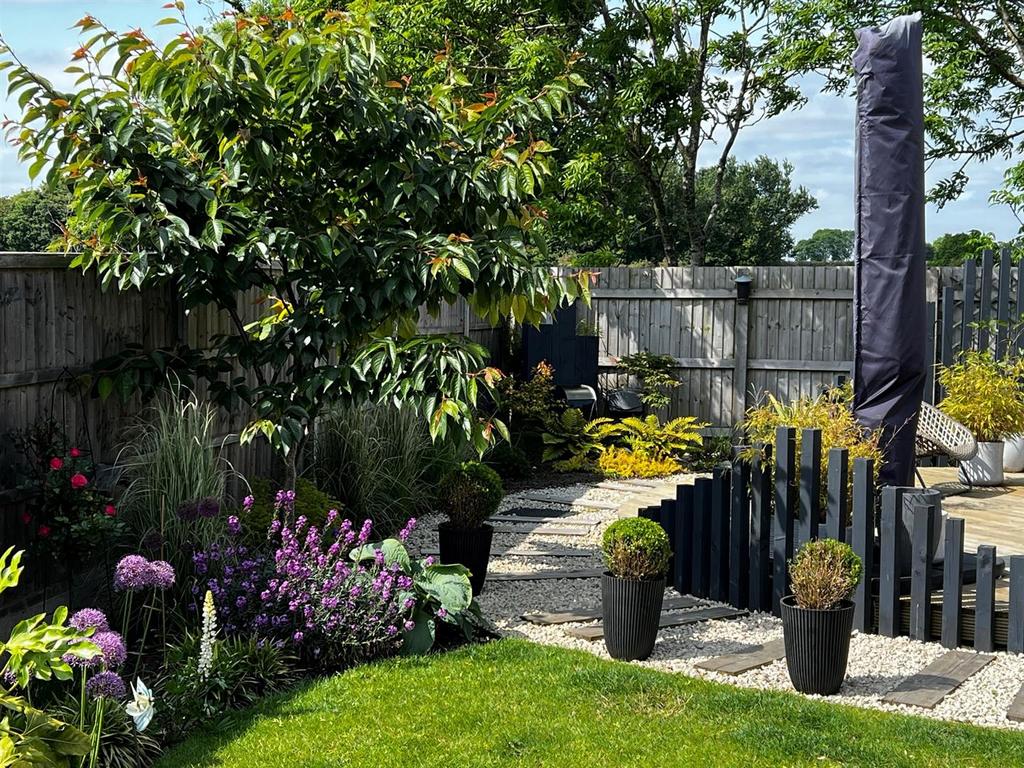 Summer garden.jpg