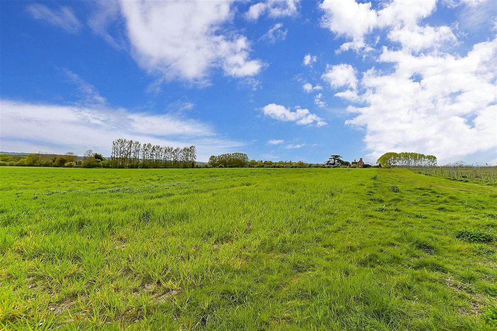 Surrounding Area