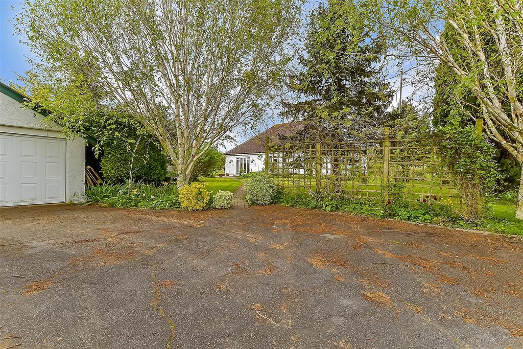 Driveway/Parking