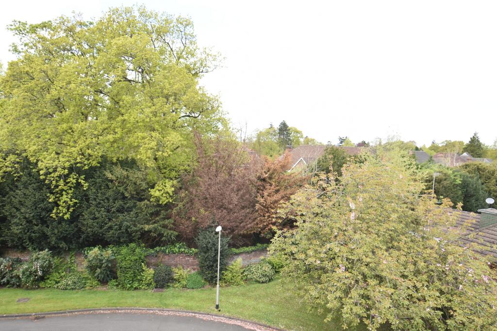 View From Balcony