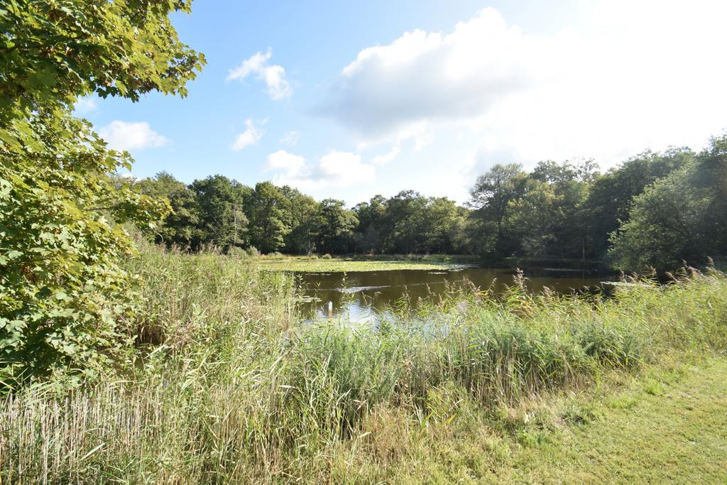 West Common Pond