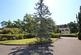 Additional image 17 of Lions Lane, Ashley Heath, Ringwood, Hampshire, BH24