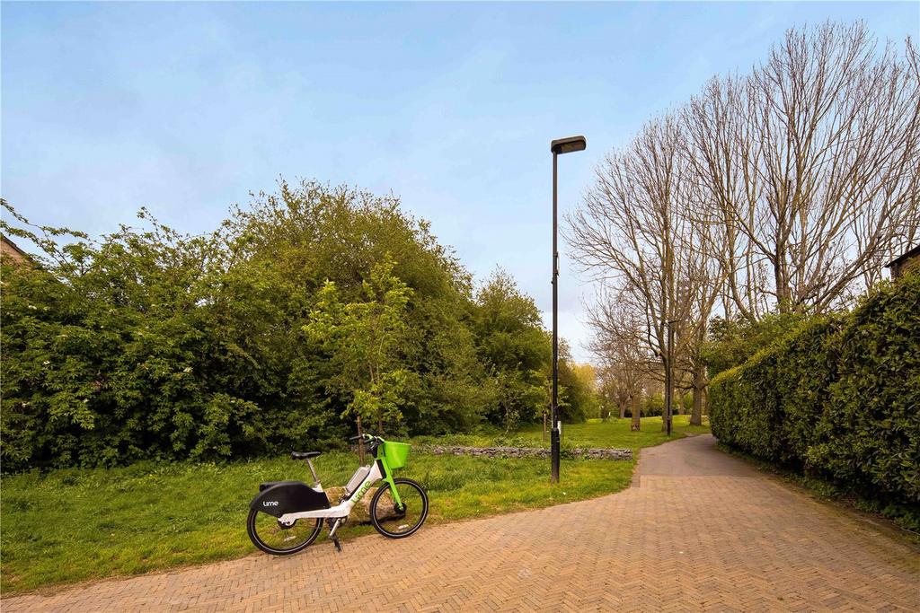 Local Park