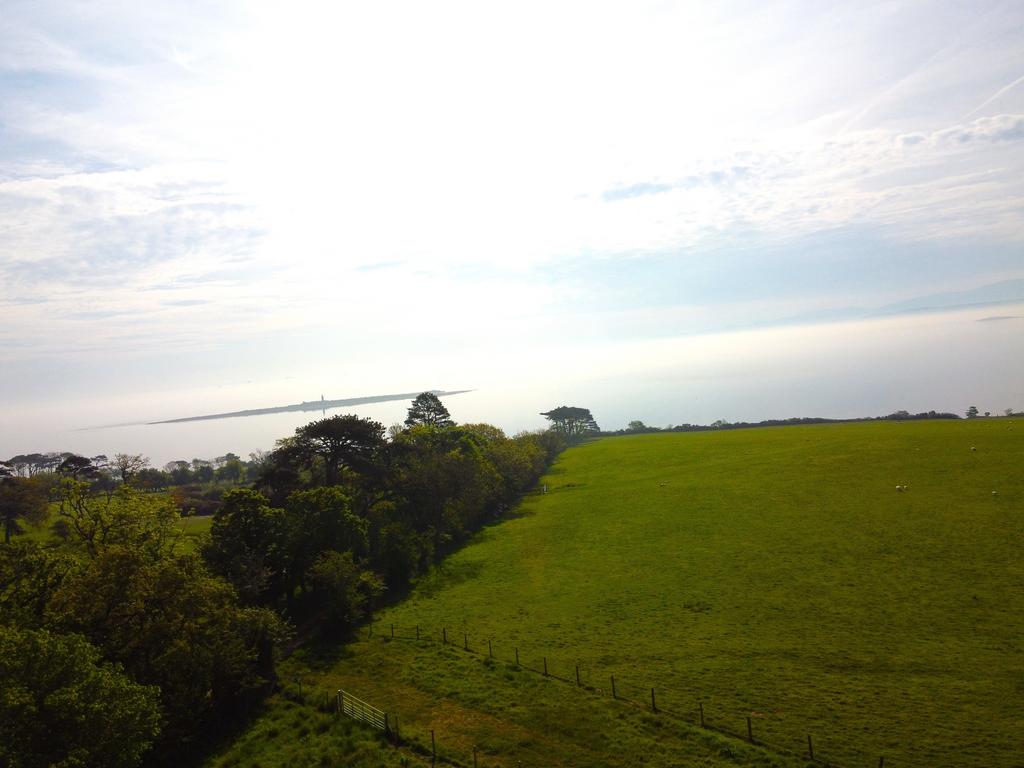 Photo 6554323 DJI 723 jpg 5789700 0 20245119142 ph
