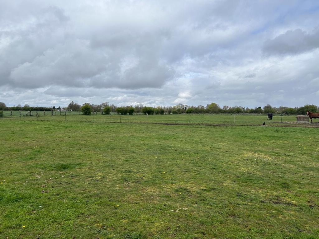 Paddock