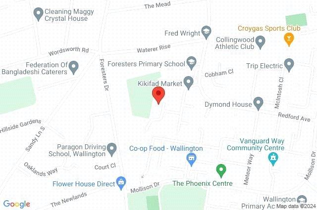 Google Maps Image