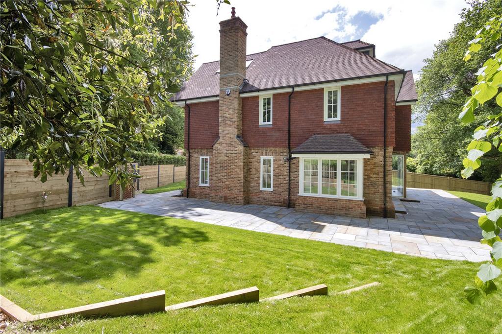 Rear Elevation