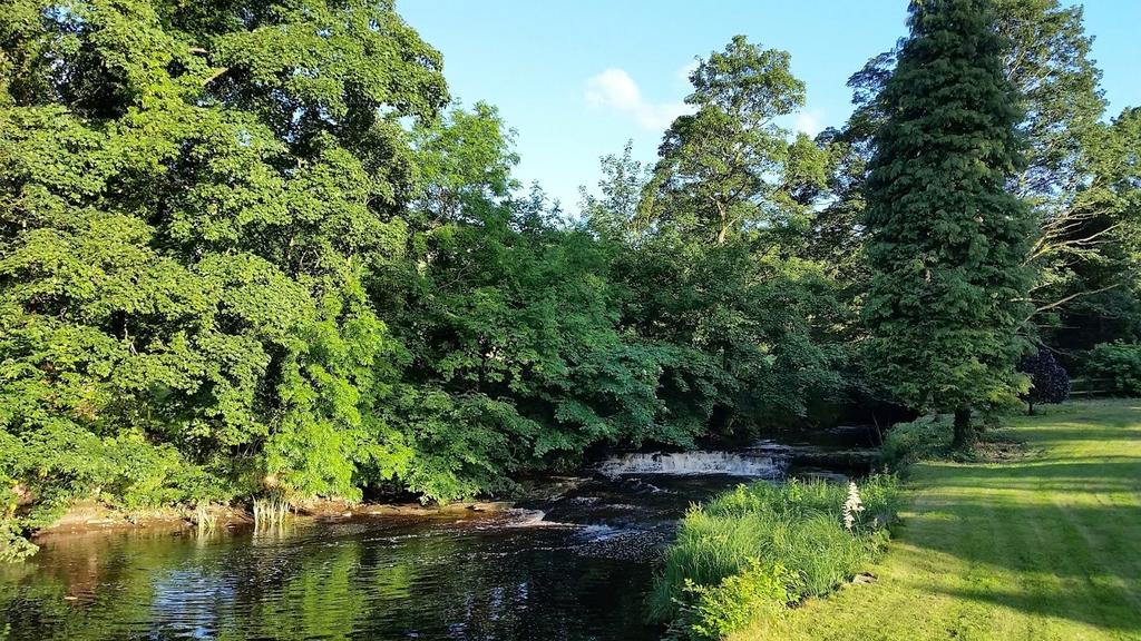 Burton Beck