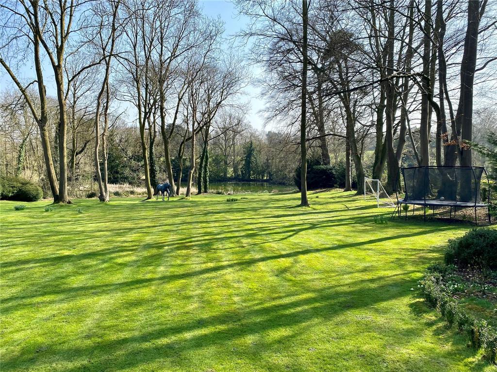 Lawned Wooded Garden