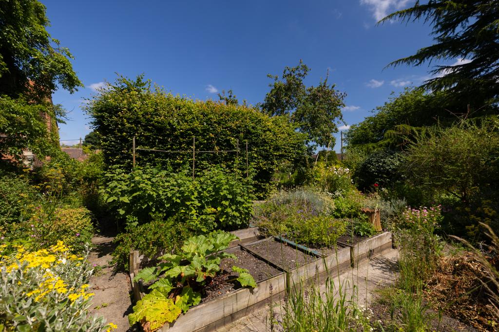 Kitchen Garden