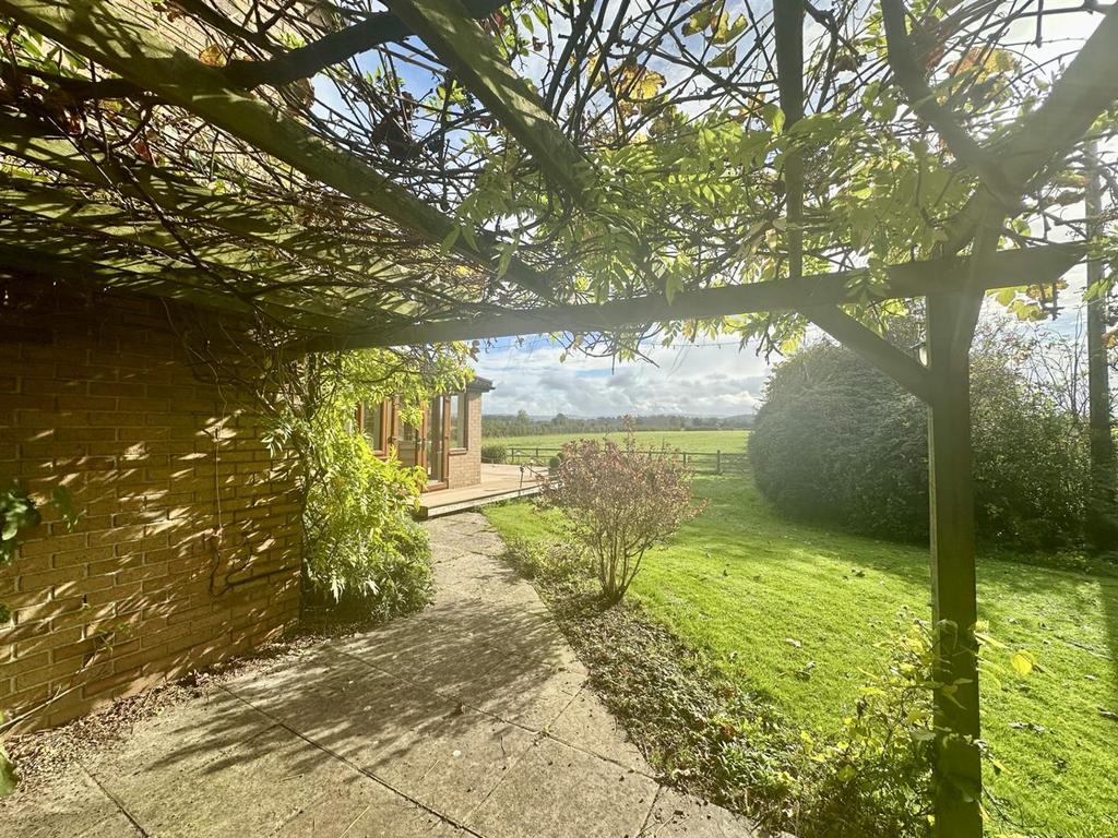 Patio View.jpg