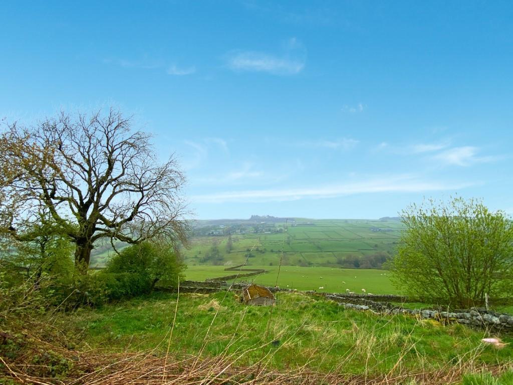 Countryside View