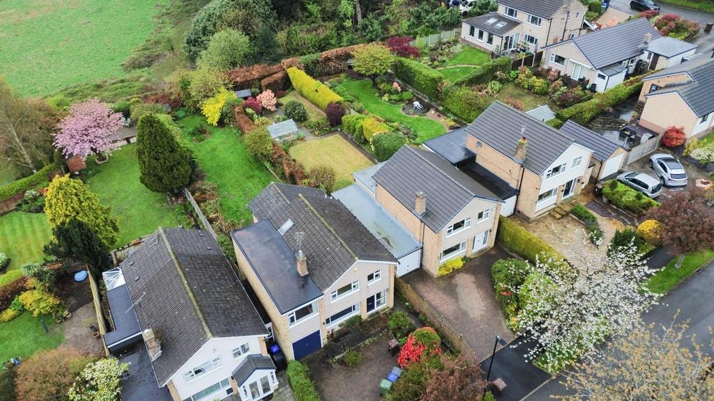 Aerial Views