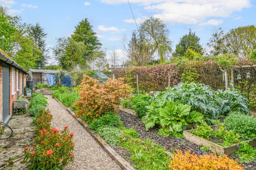 Vegetable Garden
