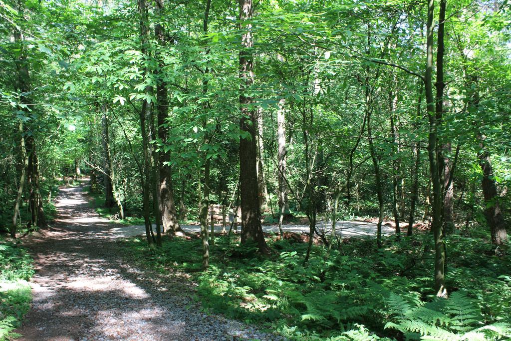 Access track