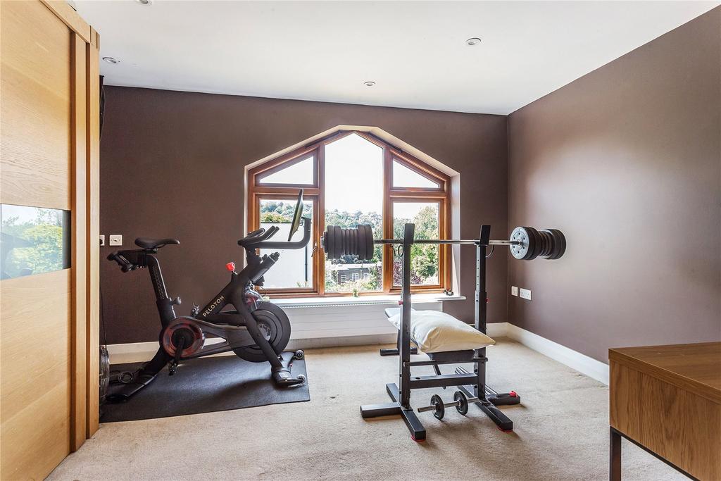 Bedroom/Gym