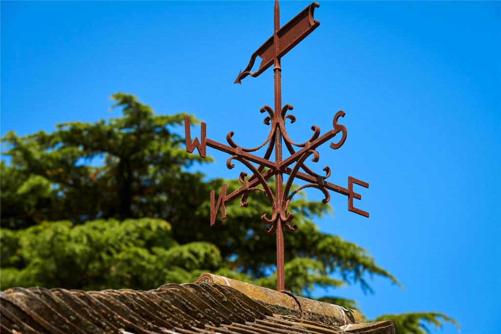Picture 36