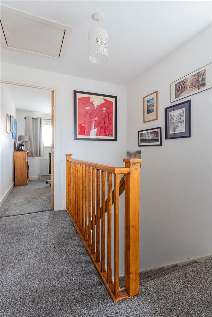 Aster Close 11-16.jpg