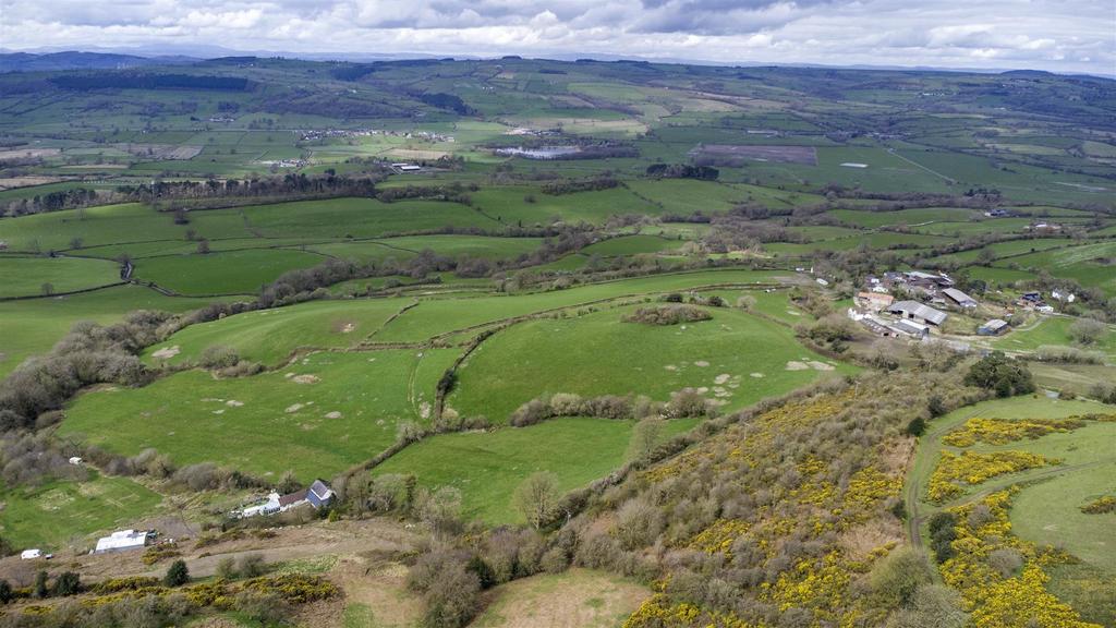 DJI 0204.jpg
