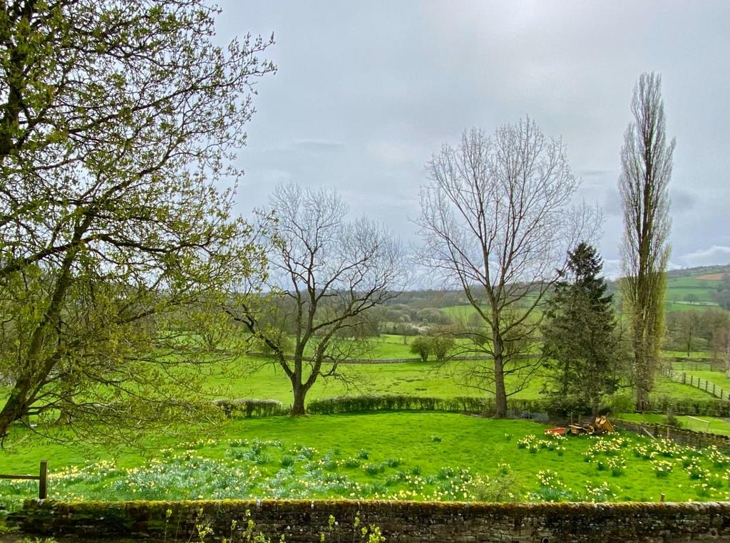 Rose Cottage view i.jpg